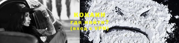 PSILOCYBIN Елабуга