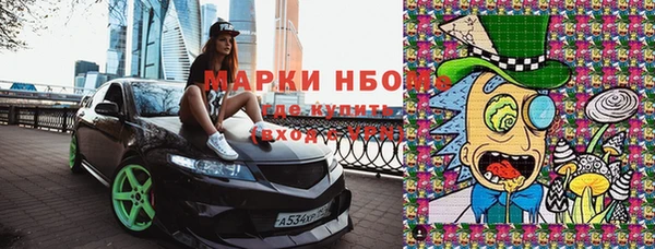 спиды Ельня