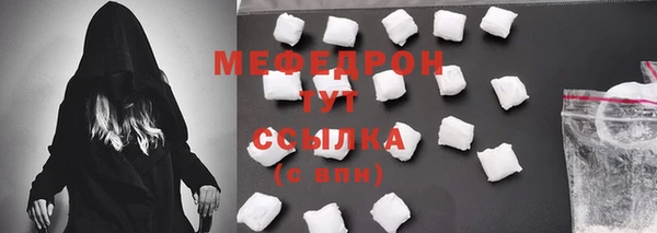 спиды Ельня