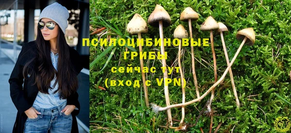 PSILOCYBIN Елабуга