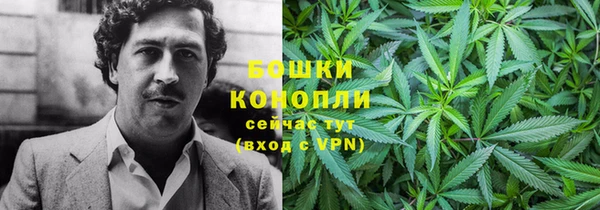 спиды Ельня