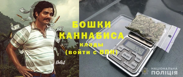 PSILOCYBIN Елабуга