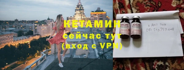 спиды Ельня