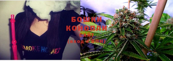 PSILOCYBIN Елабуга