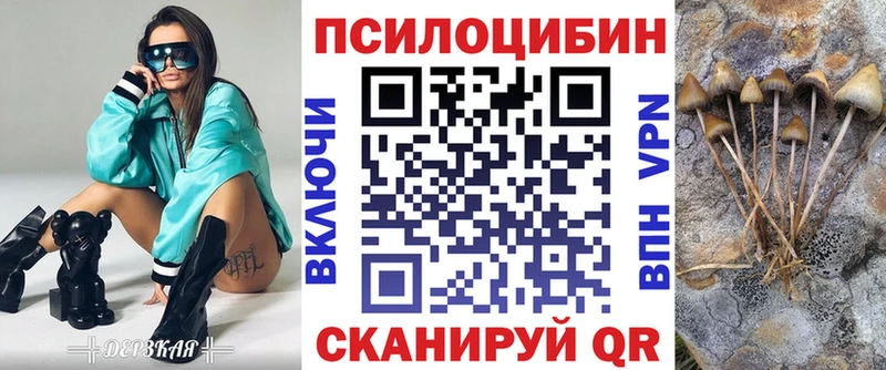 Псилоцибиновые грибы Psilocybe  hydra как зайти  Братск 